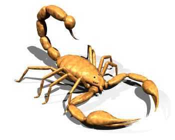 Imagen de escorpion